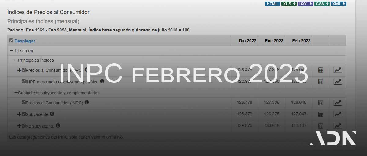 INPC 【Índice Nacional de Precios al Consumidor】 2024 ADN